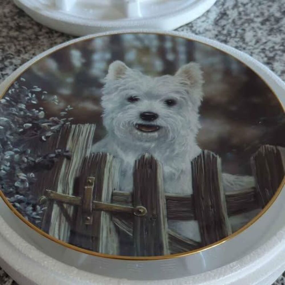 West Highland Terriers "May I Come In?" Westie Dog Plate by Danbury Mint decor